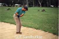 Golf Sandbunker